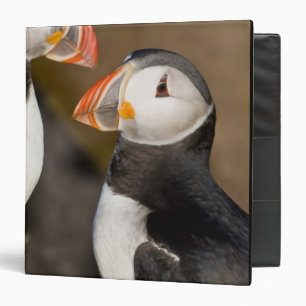 The Atlantic Puffin Binder