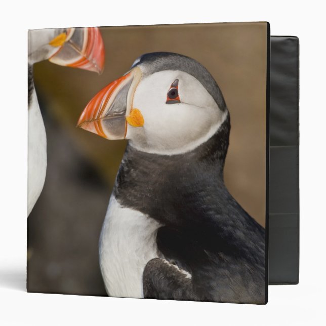 The Atlantic Puffin Binder (Front/Inside)