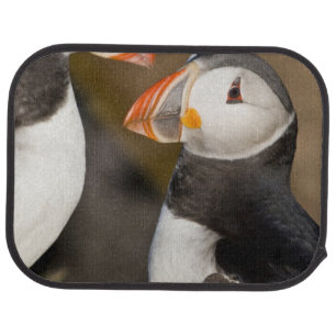The Atlantic Puffin Car Floor Mat