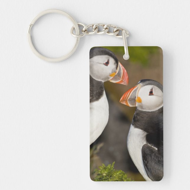 The Atlantic Puffin Keychain (Front)