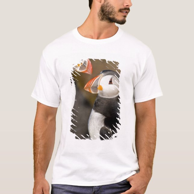The Atlantic Puffin T-Shirt (Front)