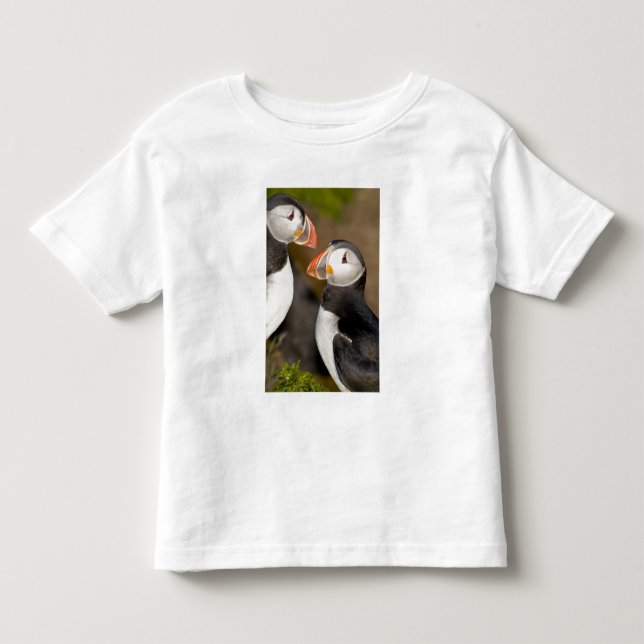 The Atlantic Puffin Toddler T-shirt (Front)