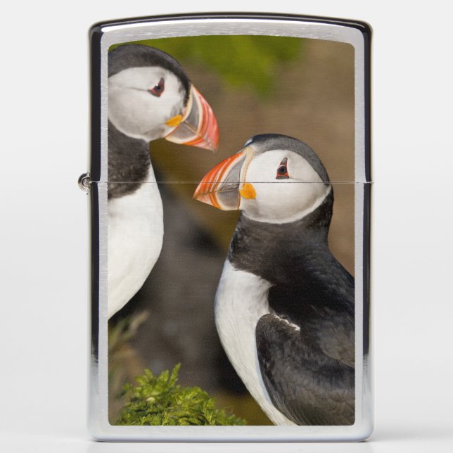 The Atlantic Puffin Zippo Lighter (Front)