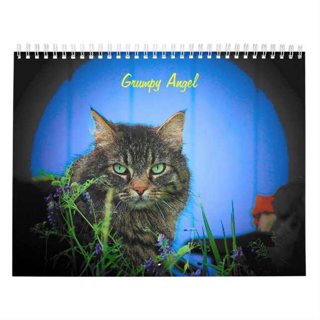 The Attitude of Grumpy Angel Calendar (Cover)