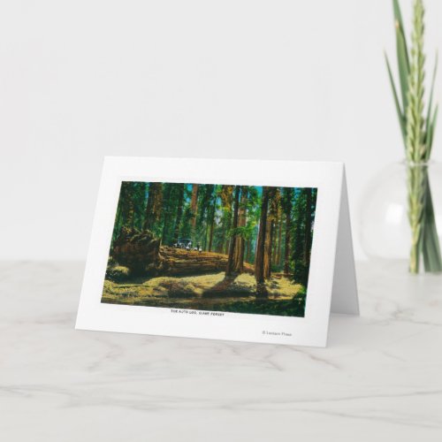 The Auto Log in Giant Forest Redwoods Card