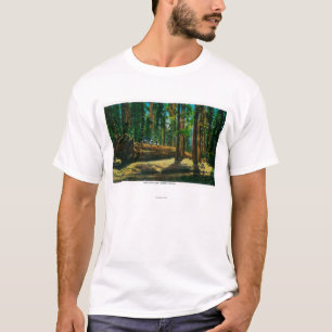 The Auto Log in Giant Forest, Redwoods T-Shirt