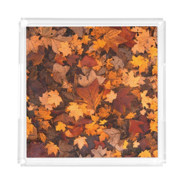 the autumn acrylic tray (Front)