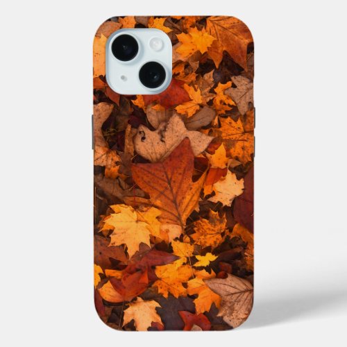 the autumn iPhone 15 case