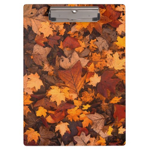 the autumn clipboard