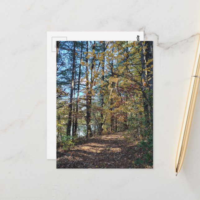 The Autumn Forest Path Postcard (Front/Back In Situ)