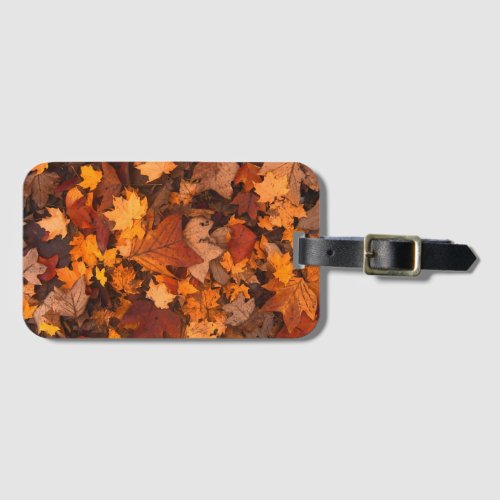 the autumn luggage tag