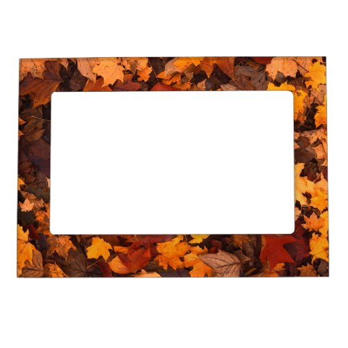 the autumn magnetic frame