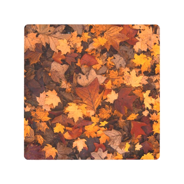 the autumn metal print (Front)