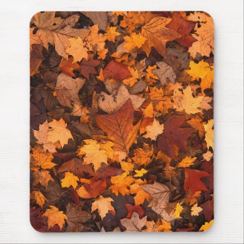 the autumn mouse pad
