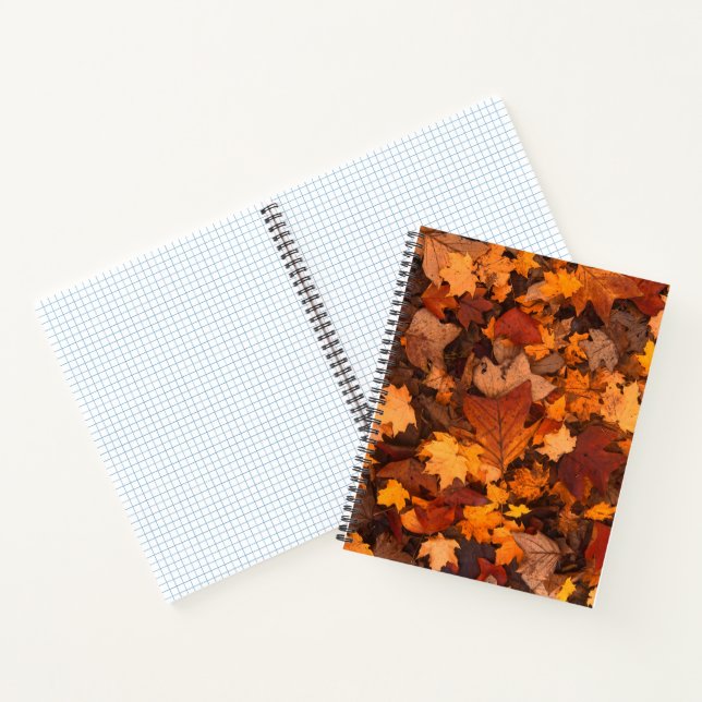the autumn notebook (Inside)