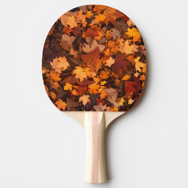 the autumn ping pong paddle (Front)