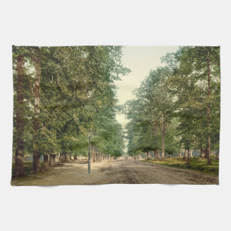 The Avenue, Southampton, Hampshire, England Kitchen Towel