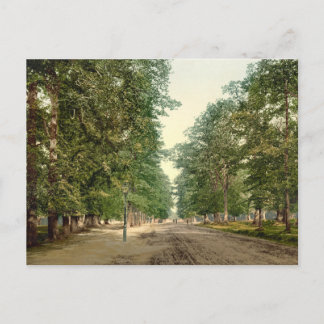 The Avenue, Southampton, Hampshire, England Postcard