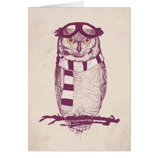 The aviator cards (Front)