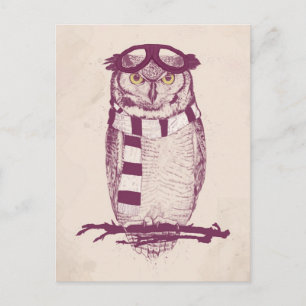 The aviator postcard