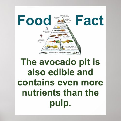 The Avocado Pit Is Also Edible _ Food Fact Poster