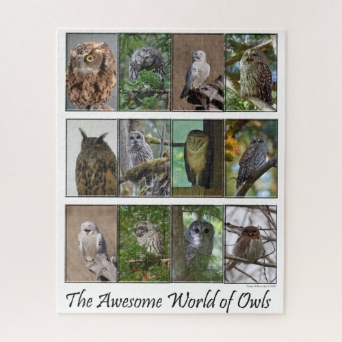 The Awesome World of Owls Puzzle