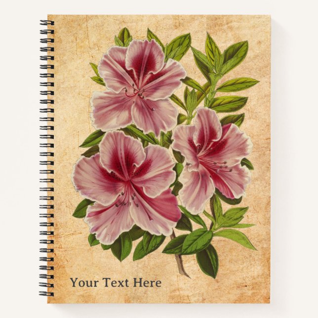 The Azalea's Secret Notebook (Front)