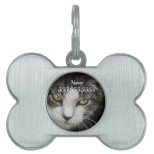 The Baby Look Pet Tag