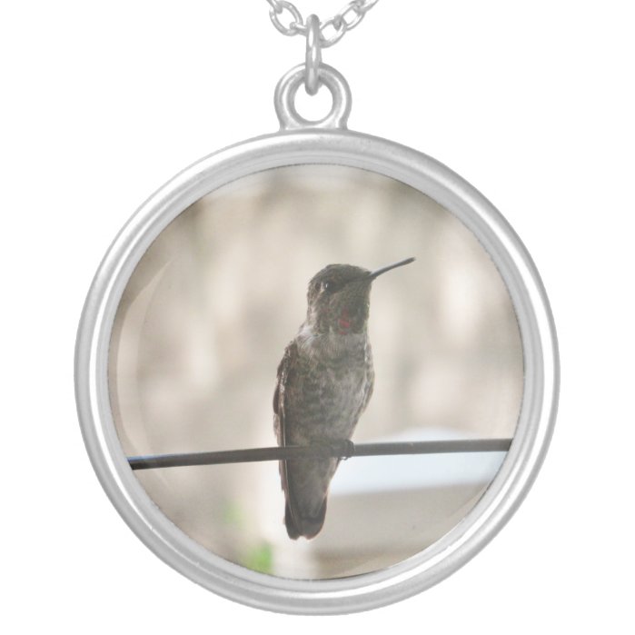 The Backyard Hummingbird Silver Plated Necklace