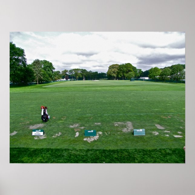 The Bag Awaits Poster (Front)