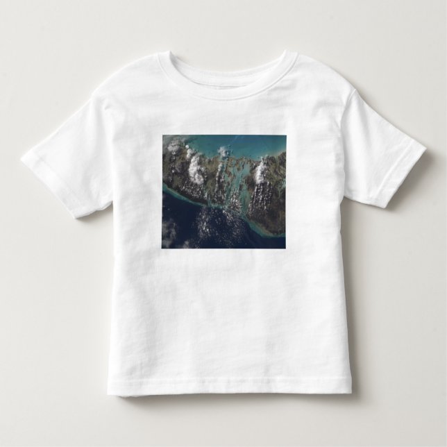 The Bahamas' Andros Island 2 Toddler T-shirt (Front)