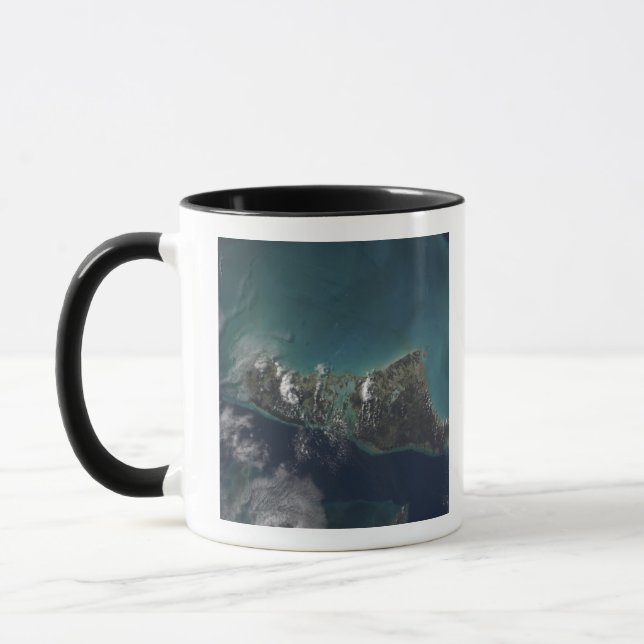 The Bahamas' Andros Island Mug (Left)