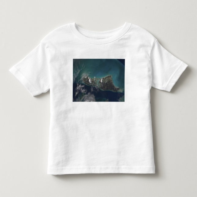 The Bahamas' Andros Island Toddler T-shirt (Front)