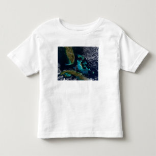 The Bahamas, Florida, and Cuba Toddler T-shirt