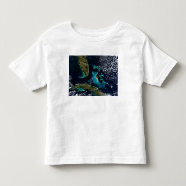 The Bahamas, Florida, and Cuba Toddler T-shirt (Front)