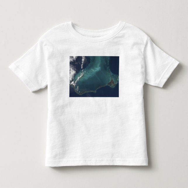 The Bahamas' lengthy narrow Eleuthra Island Toddler T-shirt (Front)