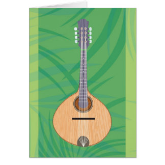 The Bahia Cards