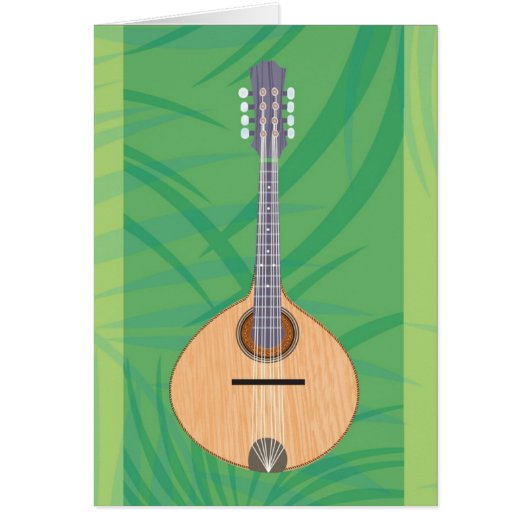 The Bahia Cards (Front)