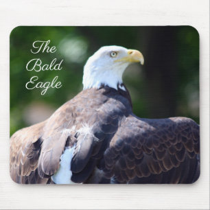 The Bald Eagle Mouse Pad