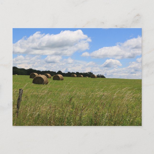 The Bales of Summer 2 Postcard (Front)