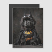 The Bark Knight card (Front/Back)