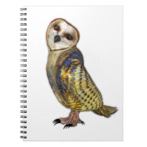 The Barn Owl Notebook