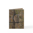 "The Barred Owl"