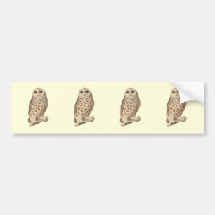 The Barred Owl (Ulula nebulosa) De Kay's NY Birds Bumper Sticker