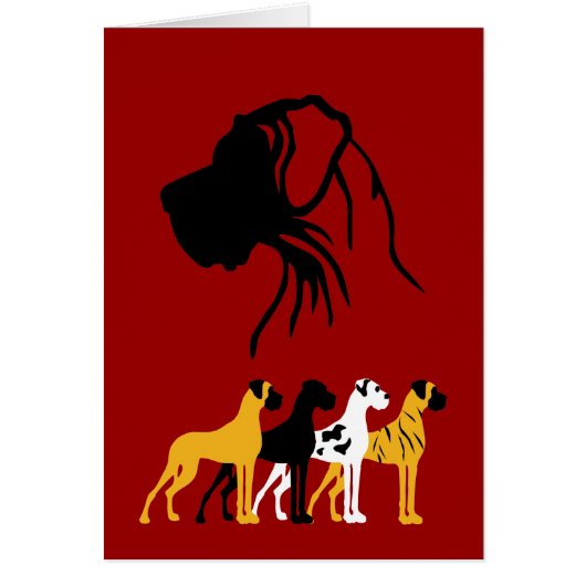 The basic Dane colors (Front)