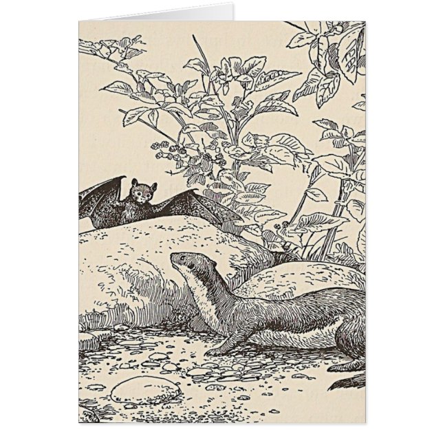 The Bat and The Mink Cards (Front)