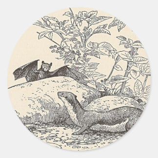 The Bat and The Mink Classic Round Sticker