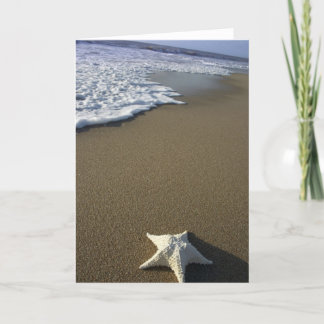The Beach Card