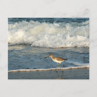The Beach Postcard