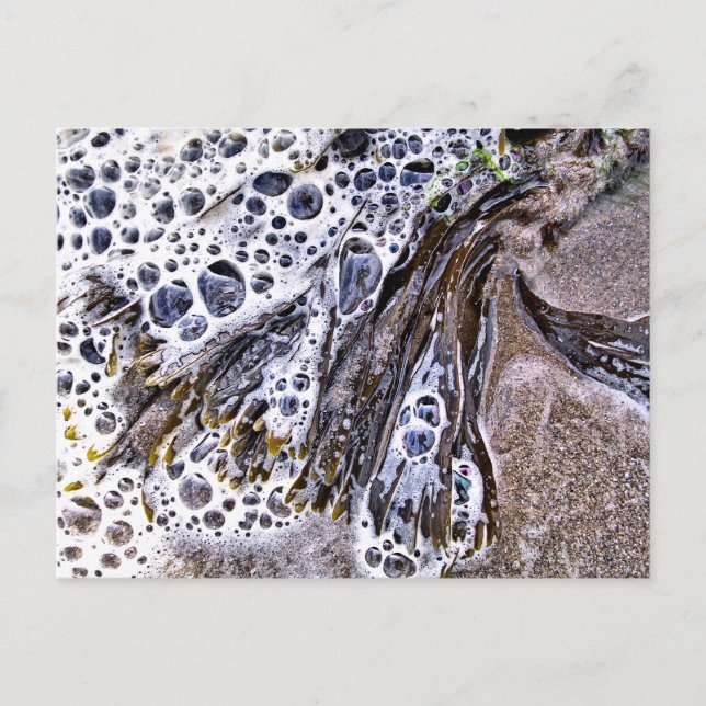 THE BEACH, SEAWEED, WATER AND SAND POSTCARD (Front)